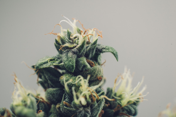 Is It Time To Update Your Drug Testing Policy?
