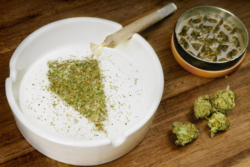 Nevada Bans Employers From Refusing To Hire Applicants Who Fail Marijuana Tests